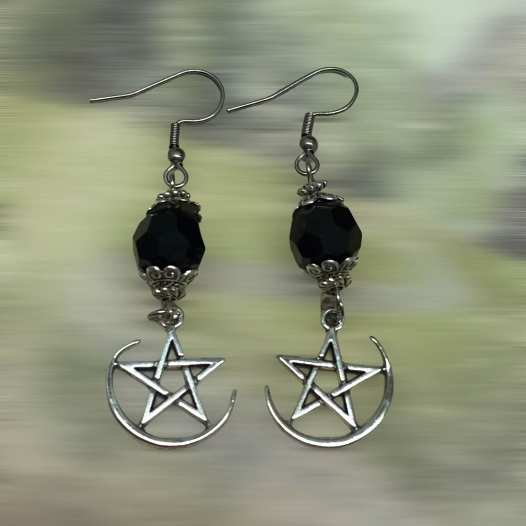 Moon Star Black Bead Stainless Steel Hook Earrings